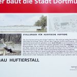 neubau-huftierstall-zoo-dortmund-3